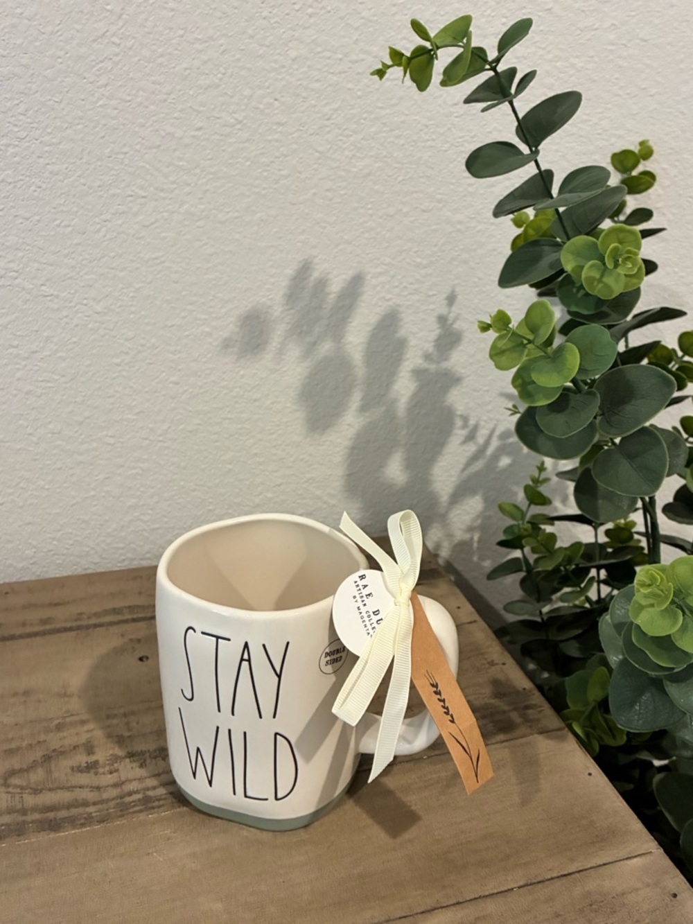 Rae Dunn STAY WILD Mushroom mug.